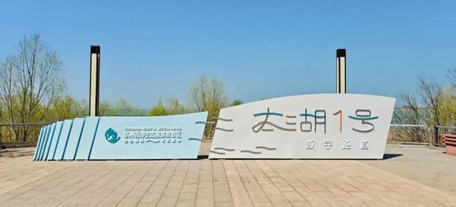 B体育体育报道-五千跑者集结,2026苏州太湖数字半程马拉松开跑